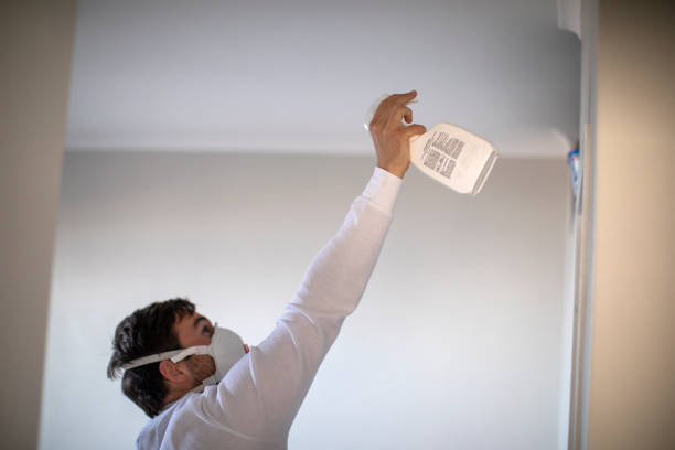 Best Certified Mold Removal  in Itasca, TX