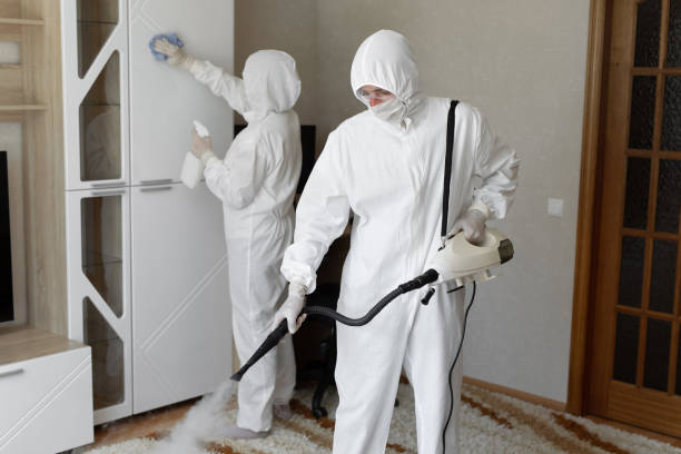 Best Residential Mold Removal  in Itasca, TX